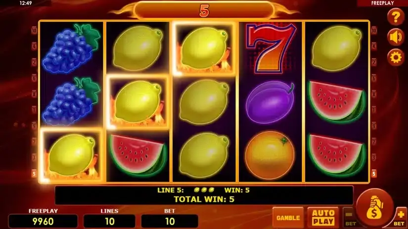 Hot Fruits 10 slot screenshot 2