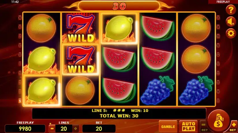 Hot Fruits 20 slot screenshot 4