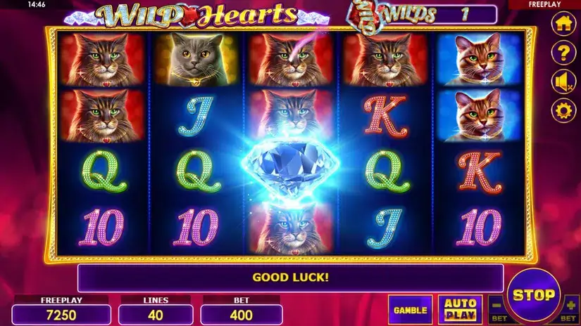 Wild Hearts slot screenshot 4