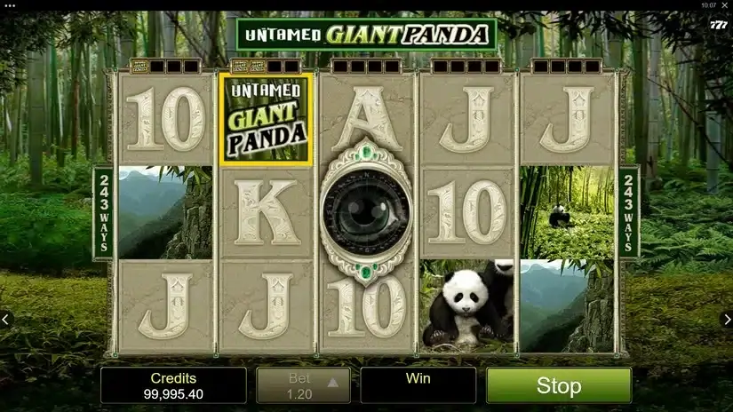 Untamed – Giant Panda slot screenshot 2