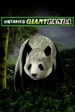 Untamed – Giant Panda