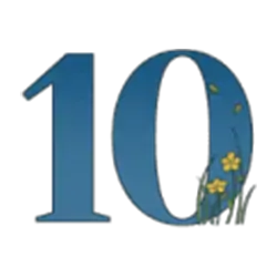 icon 10