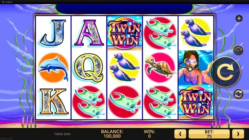 Twin Win slot screenshot 1