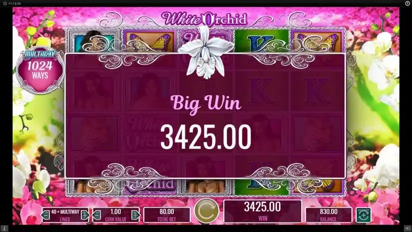 White Orchid slot screenshot 