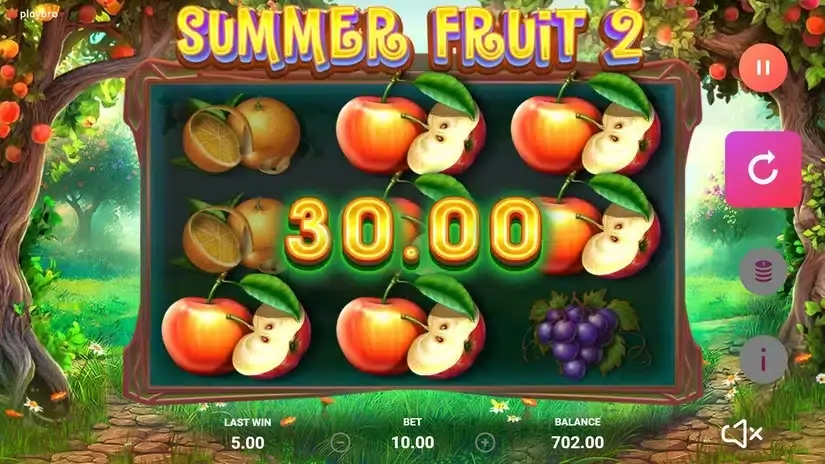 The Summer Fruit 2 slot screenshot 5