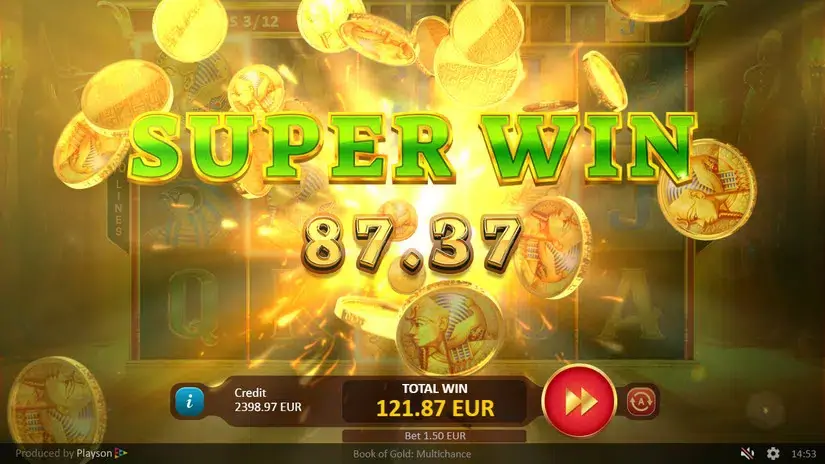 Book of Gold Multichance slot screenshot 