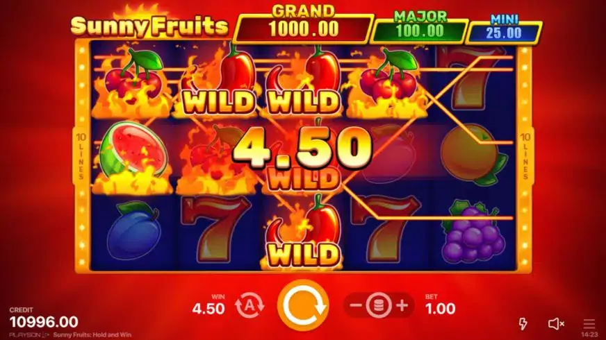 Sunny Fruits: Hold and Win slot screenshot 2