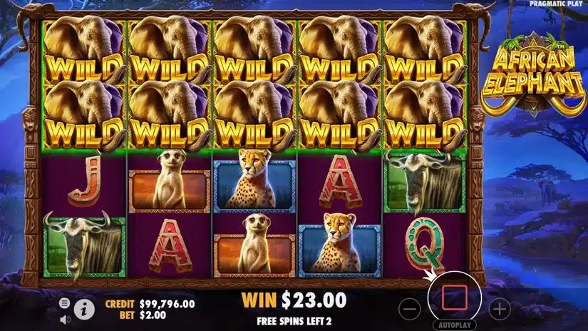 African Elephant slot screenshot 5