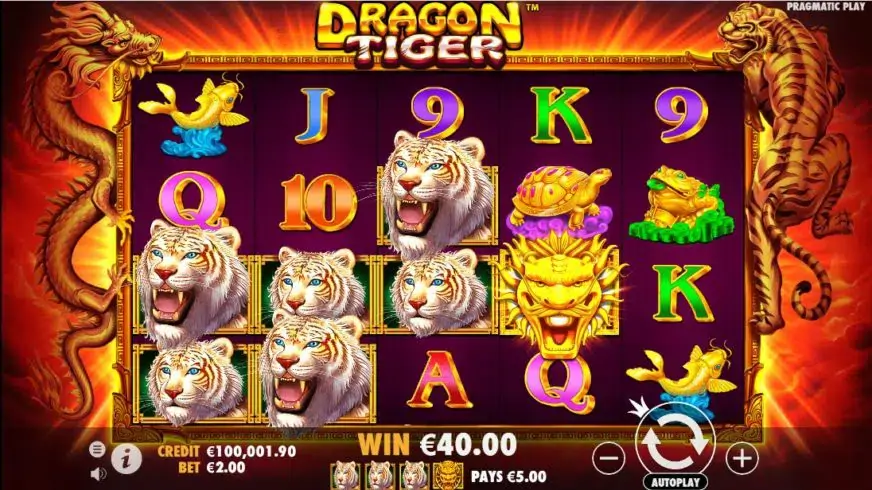Dragon Tiger slot screenshot 2