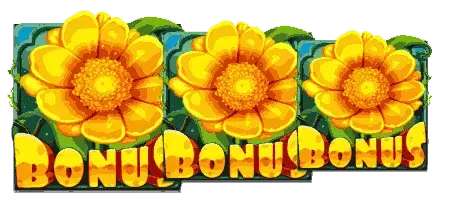 Bonus Buy Free Spins Feature