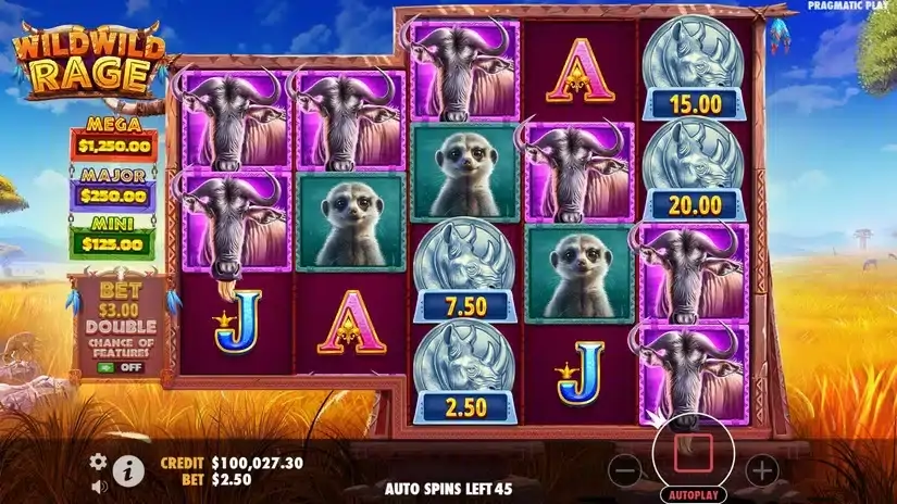 Wild Wild Rage slot screenshot 5