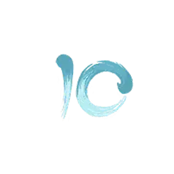 icon 10