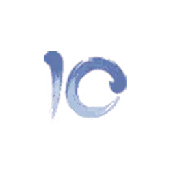 icon 10
