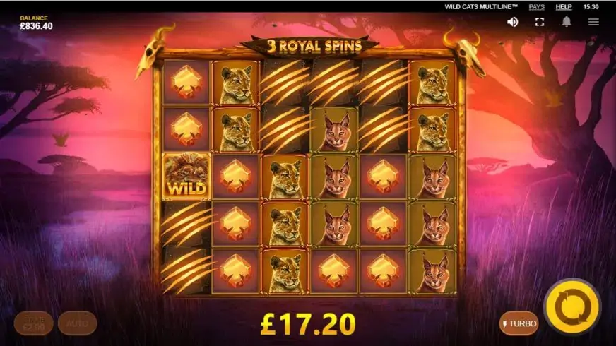Wild Cats Multiline™ slot screenshot 7
