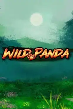 Wild Panda