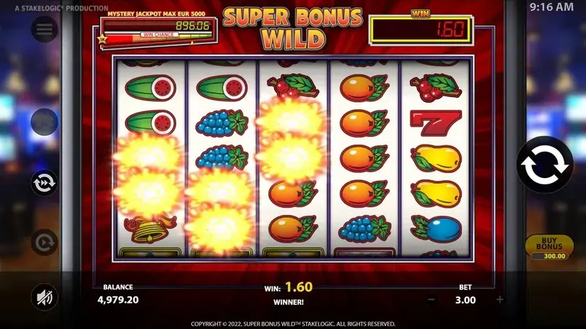 Super Bonus Wild slot screenshot 2
