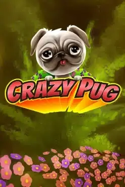 Crazy Pug
