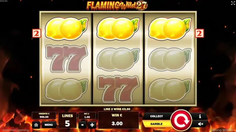 Flaming Wild 27 slot screenshot 2